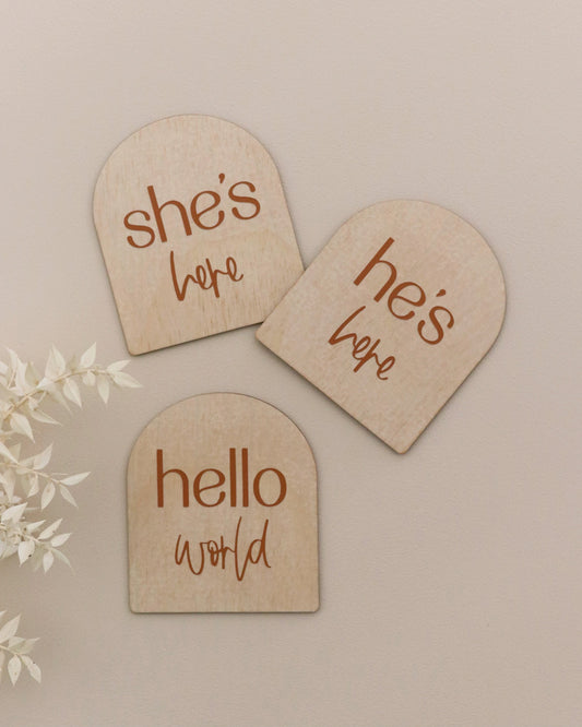 Arch Birth Plaque | Hello World, I'm/We're/ She's/He's Here, Earth Side
