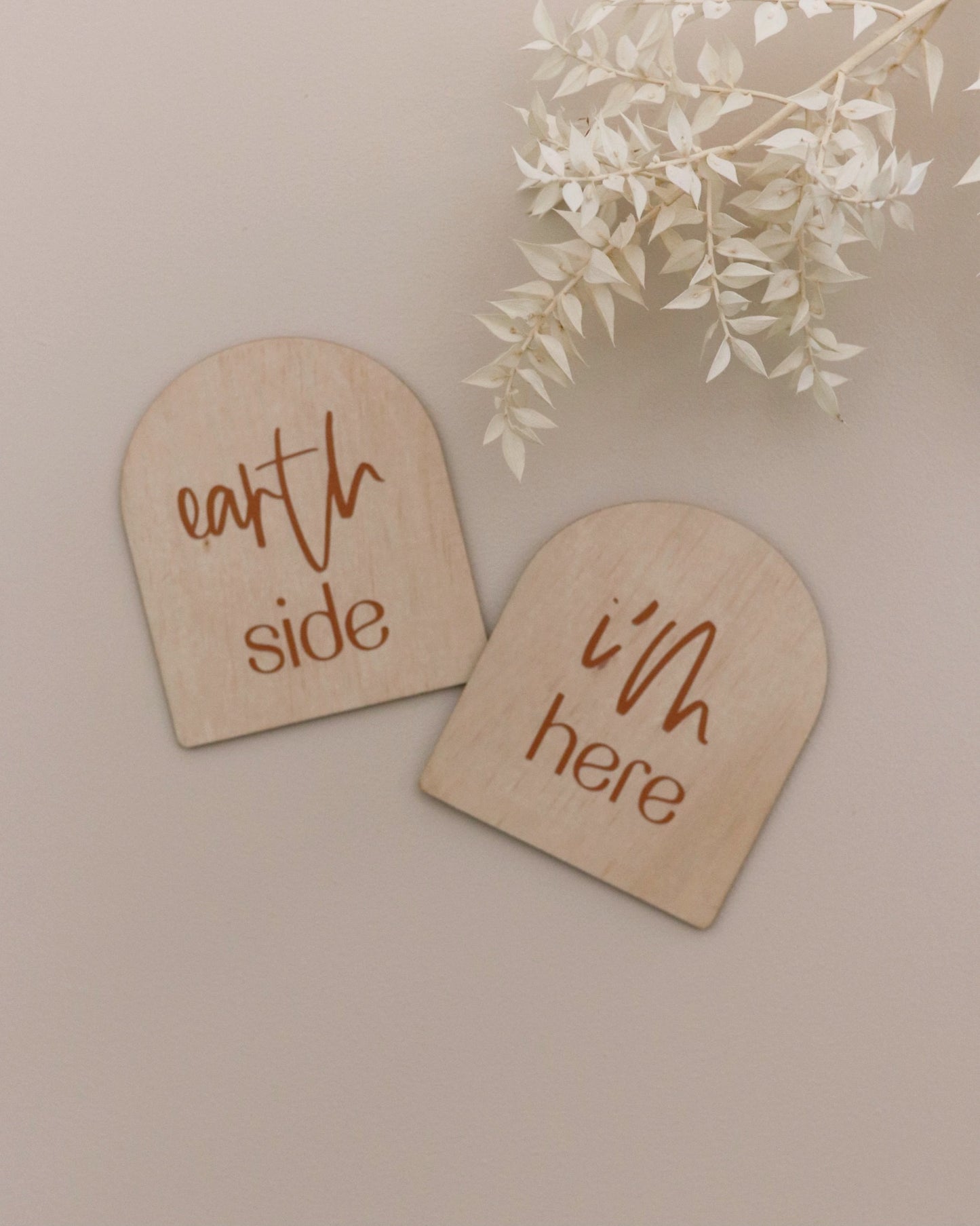 Arch Birth Plaque | Hello World, I'm/We're/ She's/He's Here, Earth Side
